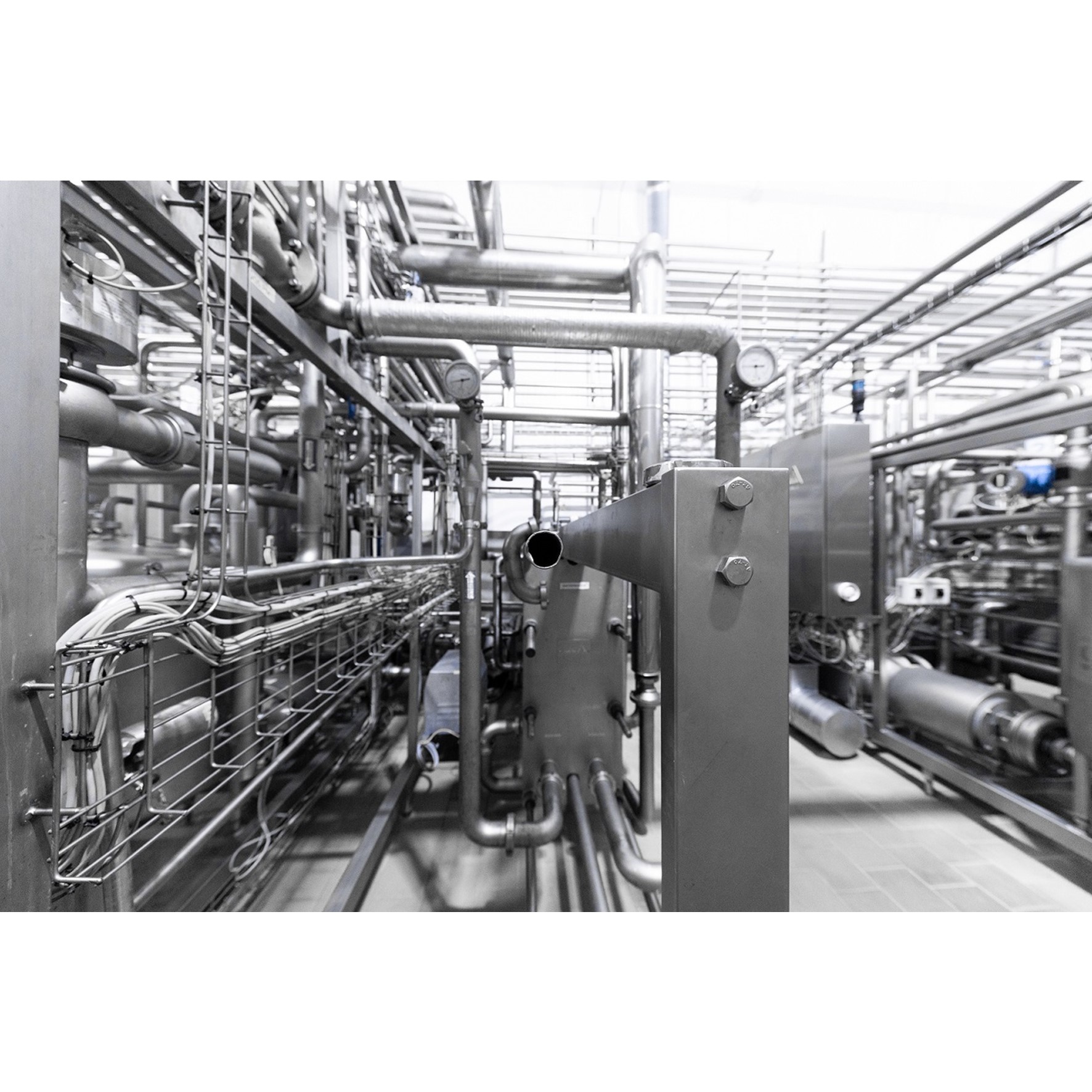 Stainless Steel Steam Piping